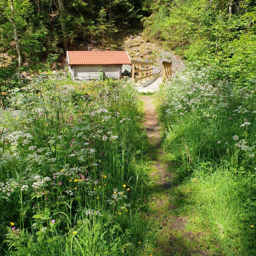 Cabin Near Lake And Beautiful Nature Reserve. Bodafors Ngoại thất bức ảnh